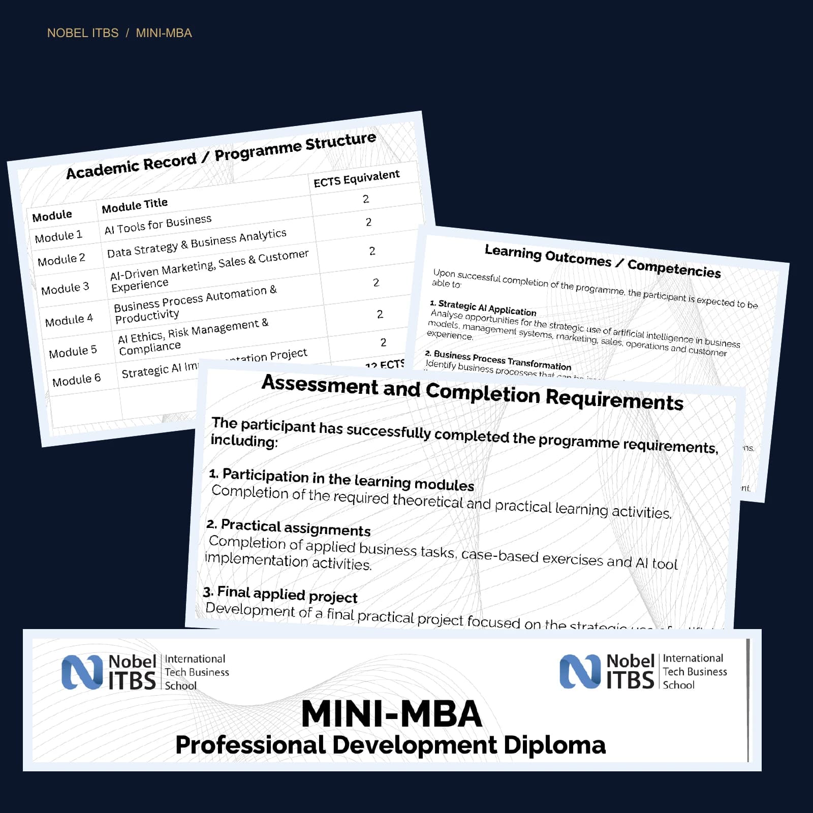 Excerpts from the original Mini-MBA diploma and supplement design showing programme structure, competencies and assessment. Full documents are not reproduced.